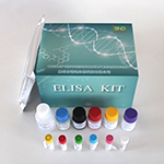 人3－羟－3－甲戊二酸单酰辅酶Ａ还原酶（HMG-CoA）ELISA试剂盒